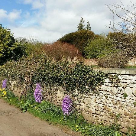 Owl Cottage Hexham Exterior foto